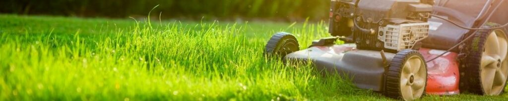 Koopadvies: Tips voor het kopen van een grasmaaier